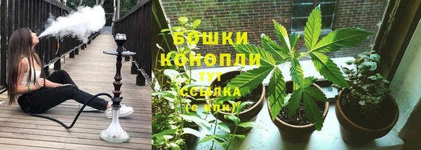 стаф Лабытнанги
